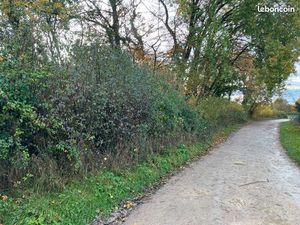 Terrain secteur bois marteau