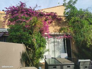 Appartement 36 m² Port Fitou