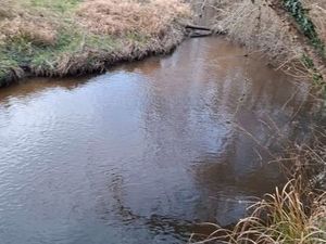 Terrain de loisirs en bord de rivière (Authion)