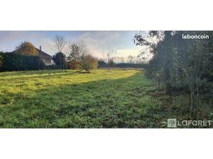 Terrain 1 638 m² Chinon