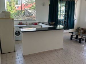 Appartement lumineux à louer au centre-ville de Basse-Terre