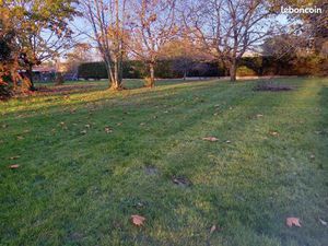 Terrain 1 500 m² Sainte Eulalie