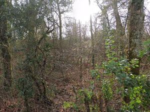 Terrain 1 194 m² La Brede