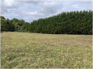 Terrain 2 175 m² Maine De Boixe