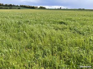 Terrain 1 414 m² Mansle