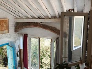 Oliveraie avec bati rustique