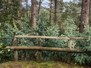 Pavillon lacanau océan