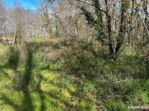 Terrain 506 m² Lanton