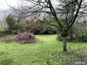 Terrain 520 m² Saintry Sur Seine