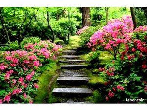 Grand parc de loisirs arboré de 14 883 m² à Cénac près de Bordeaux avec Entrepôt Cave à vi