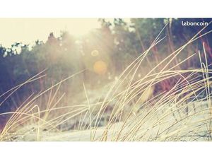 Terrain 600 m² Belin Beliet