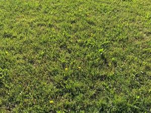 Terrain 970 m² Salles