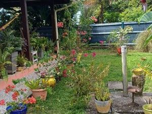 Immo-Vert  Maison T4 Duplex  Matoury