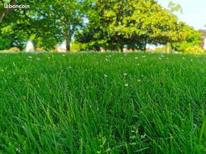 Terrain 500 m² Ares