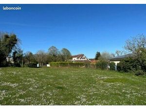 Terrain constructible