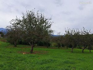 Vente terrain à Oust