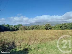 Terrain plat de 5000 m² à Borgo plaine