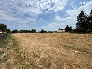 Terrain constructible