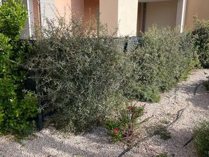 Coup de cœur : Superbe T2 en rez-de-jardin – Le Beausset  Résidence Les Vents d’Anges ?