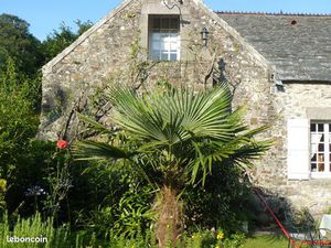 Joli studio meublé à Siouville Hague