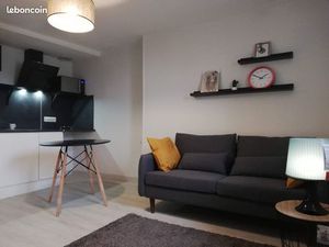 T2 meublé 40m2 - Hypercentre - Intérieur Moderne