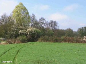 Recherche terrain/champ agricole à vendre