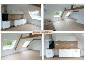 Grand appartement T2 - (34 m2 carrez - 59 m2 au sol) - état neuf