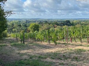 Beau terrain de loisirs 3 000m2