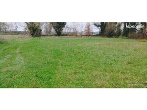 Grand terrain de loisirs