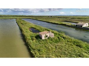 Ancienne Cabane ostréicole sur 4 ha de marais