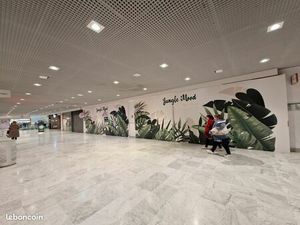 Local commercial 309 m²