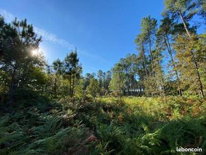 Terrain 890 m² Andernos Les Bains