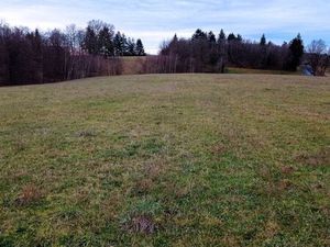 12 80 hectares ( 4000 m² ) constructible