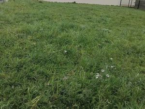 Terrain à bâtir 479 m2