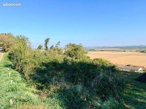 Terrain 5365 m² CANTE