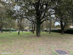 Terrain 772 m² Campet Et Lamolere