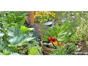 Terrain potager ou animaux