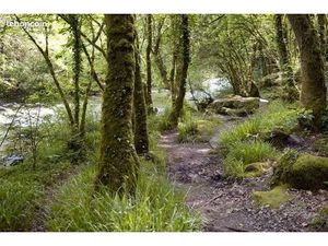 Cherche terrain de loisirs ou terrain agricole