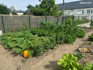 Jardins partagés à Olivet