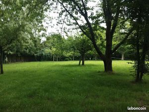 Terrain constructible