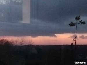 Recherche terrain ducey