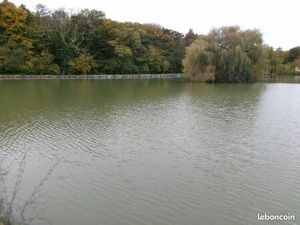 Vends Etang Avec Terrain