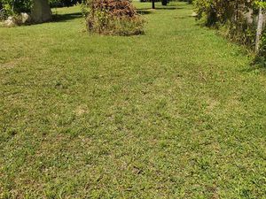 Terrain constructible à Romans de 1156m2 pour 1 ou 2 maisons