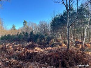 Terrain 5 241 m² Bouzy La Foret