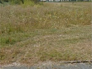 Terrain 350 m² Meung Sur Loire