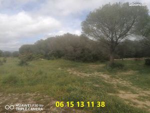 Vend terrain sur la commune de TORREILLES environ 12500m2