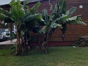 Maison F4 de 79m² sur terrain de 405m² située au Tévelave