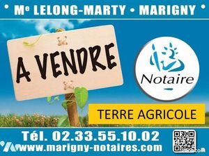 Terrain 30035 m² LOZON