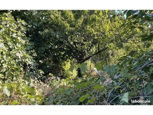 Terrain 761 m² Marennes Hiers Brouage