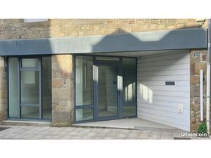 Local commercial  bureau  profession libéral  agence